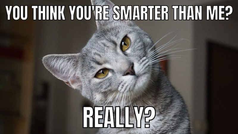 smarter-cat-meme-small.jpg