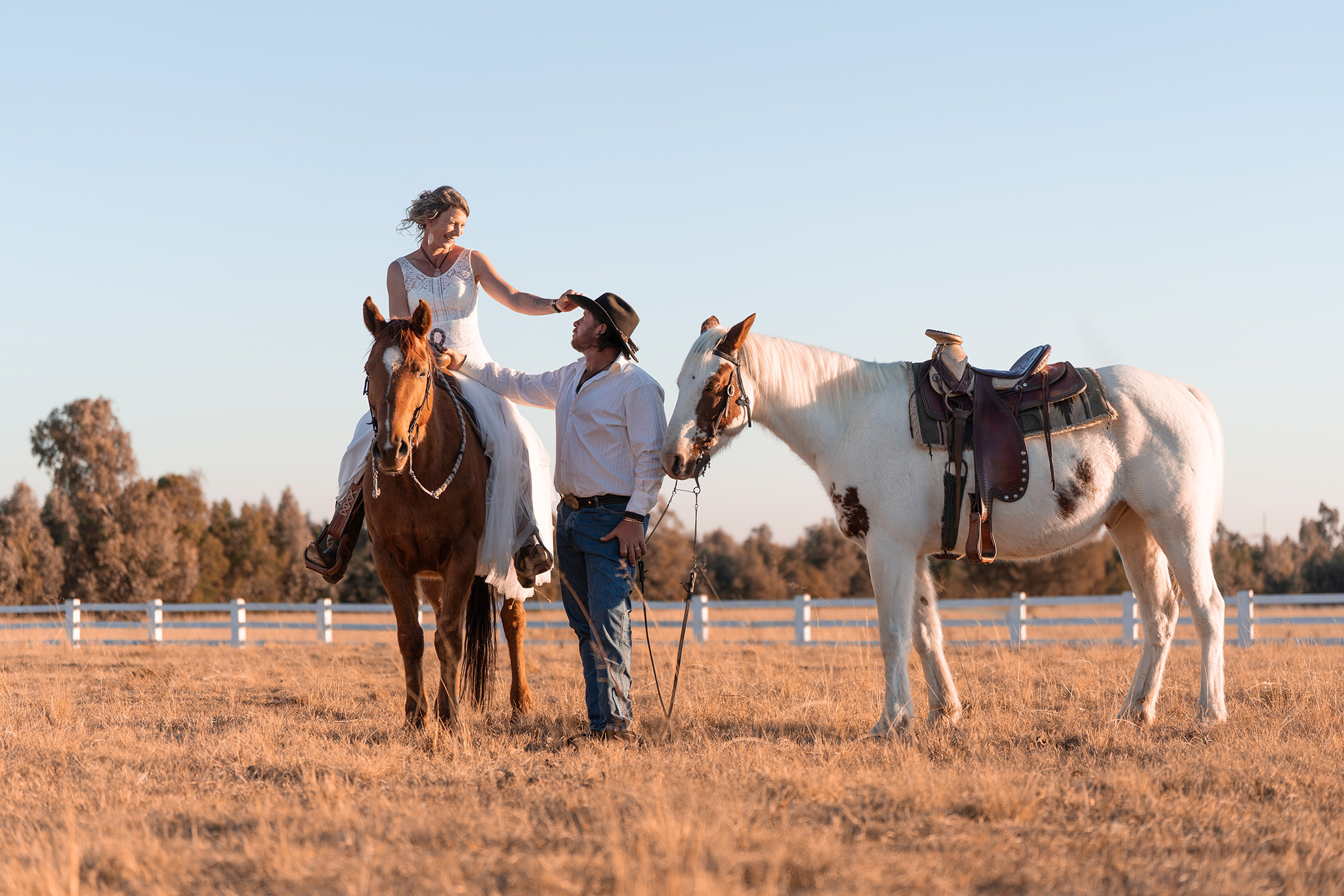 Bride and groom with horses in golden hour