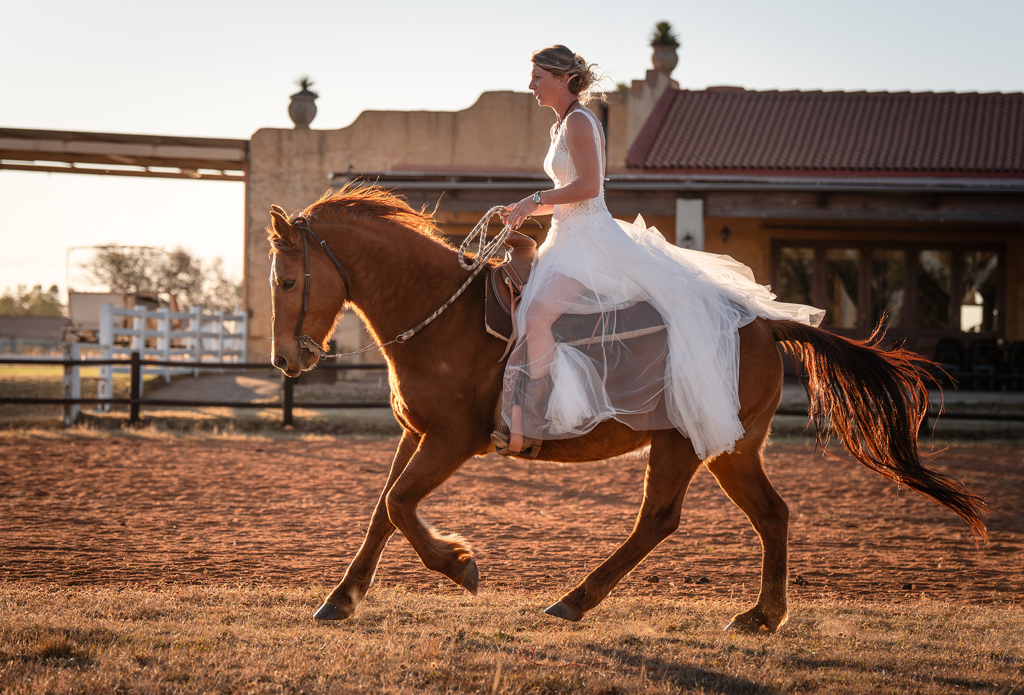 Bride galloping her horse in golden hour