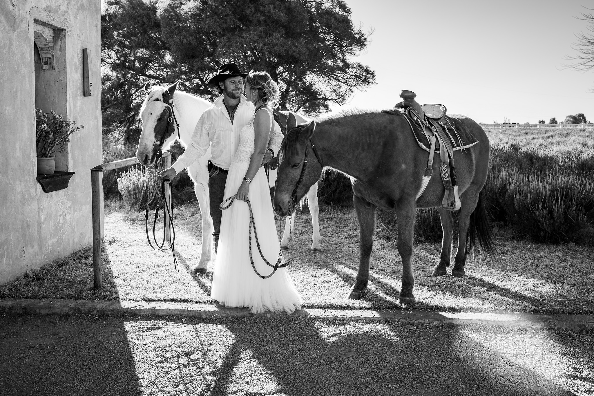 Bride and groom at chapel with horses in black and white