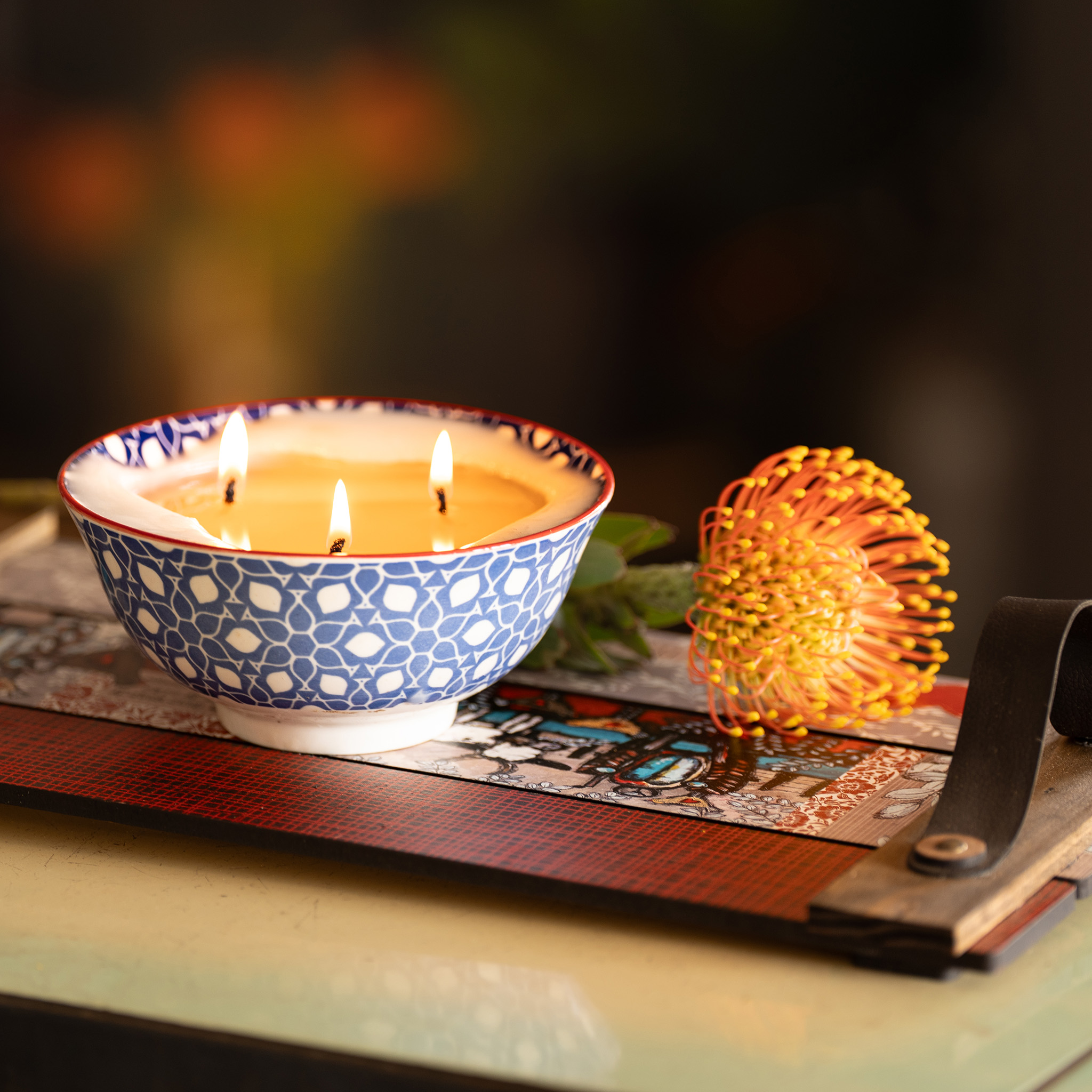 Image of a Stephani's Scented Candle buring with protea in background
