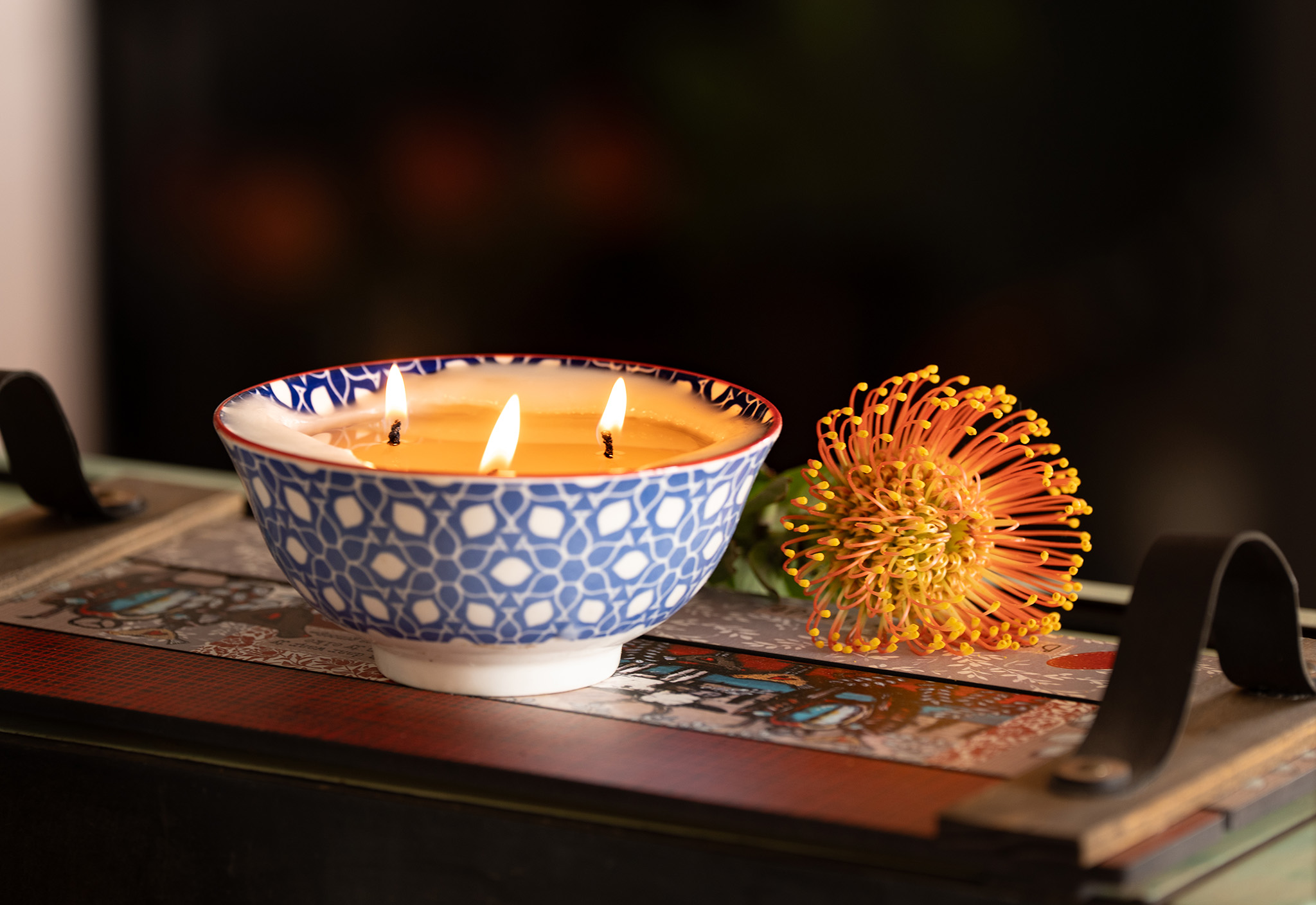Stpehanis Scented Candle with Protea 