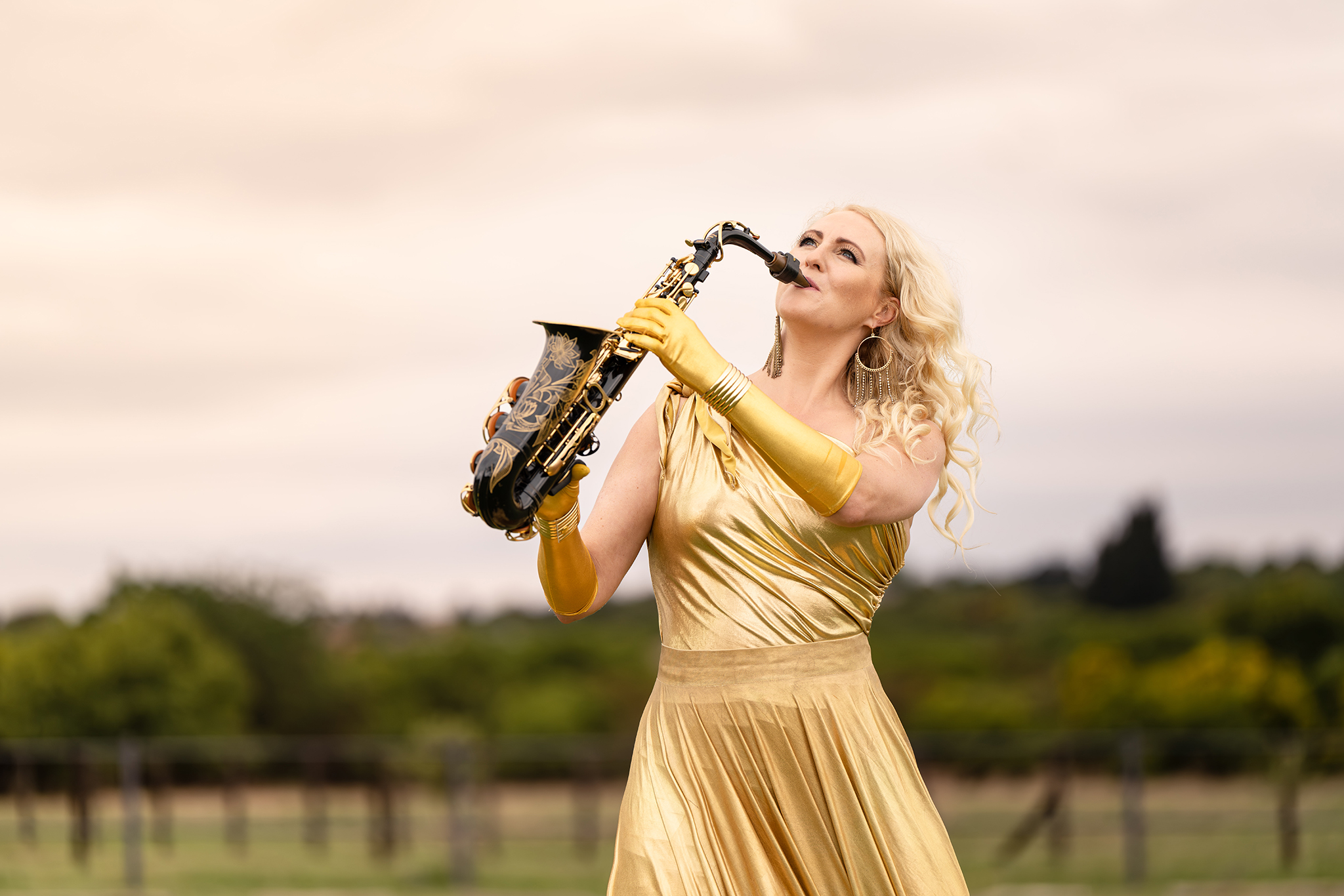 Portrait of a professional musician