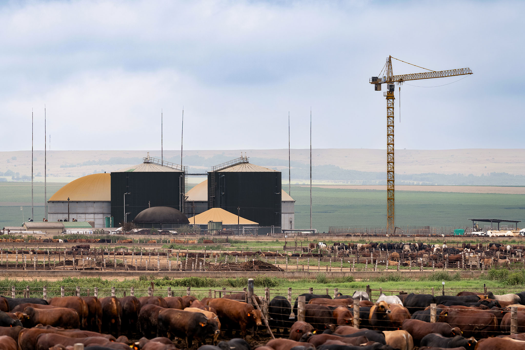 An image of a biogas plant producing green energy in South Africa