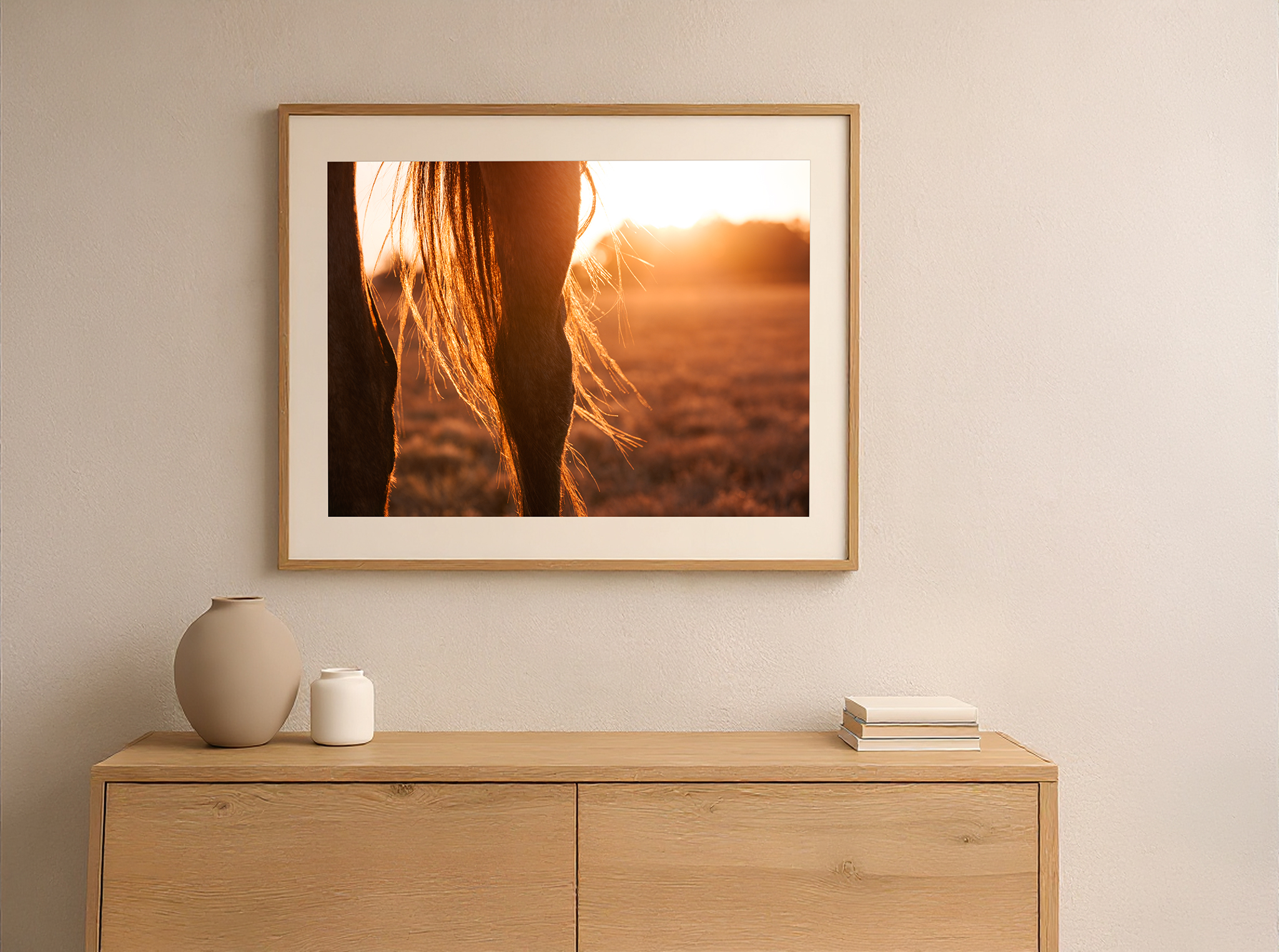 Detail photograph of horse legs illuminated by golden hour light in an open landscape