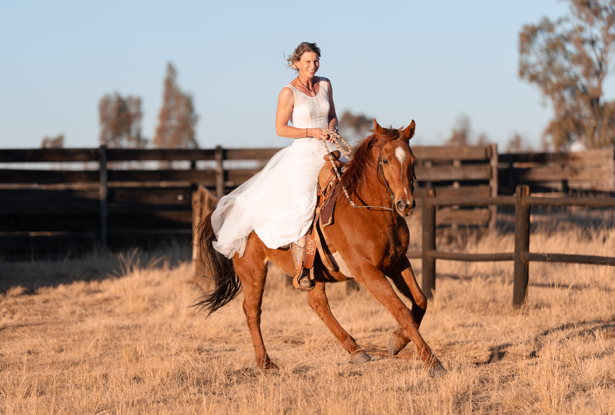 A Bride in white wedding dress on a chestnut horse