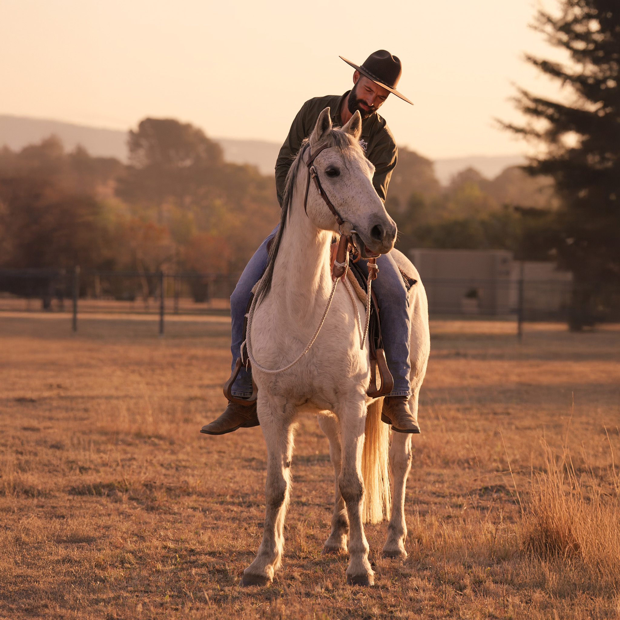Image of a cowboy and his mount at Smith Horsemanship Academy