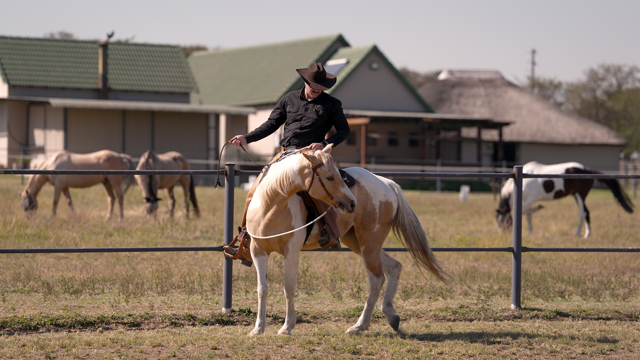 Image of a cowboy and his mount at Smith Horsemanship Academy