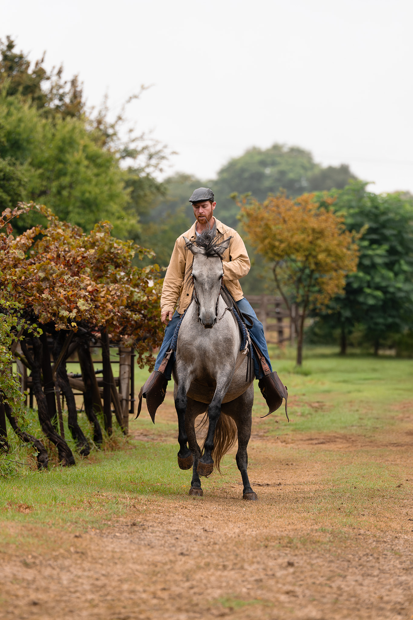 Action image of a rider with autumn colours