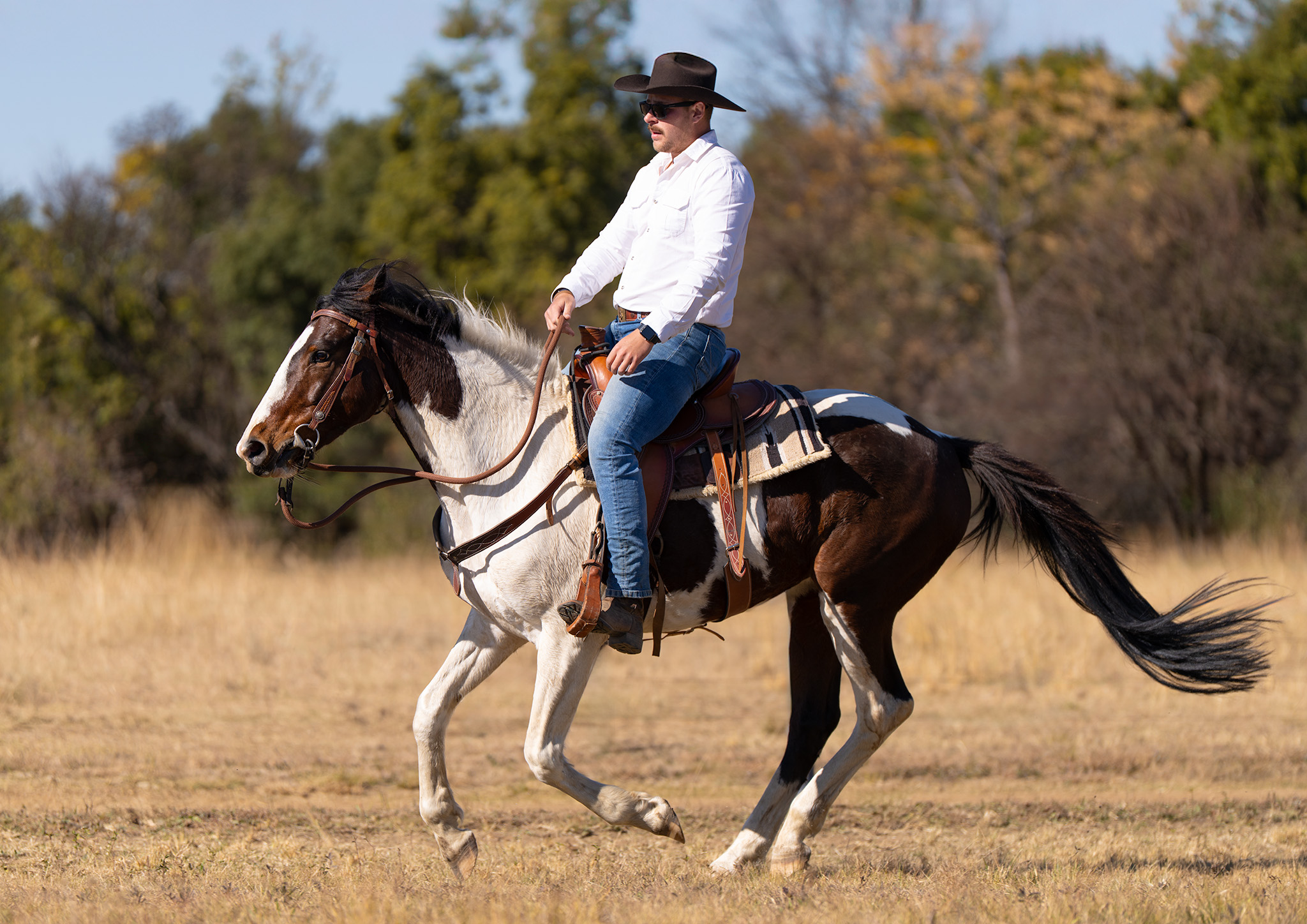 Action image of a rider and his horse in mid stride