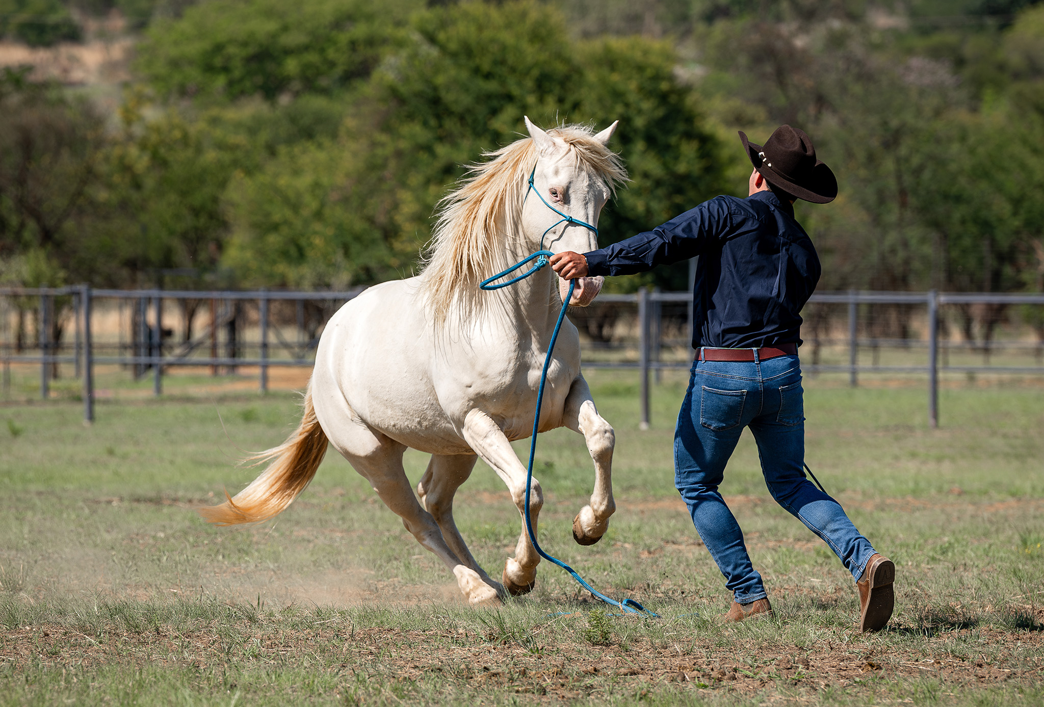 Image of a horseman and his horse working on the ground