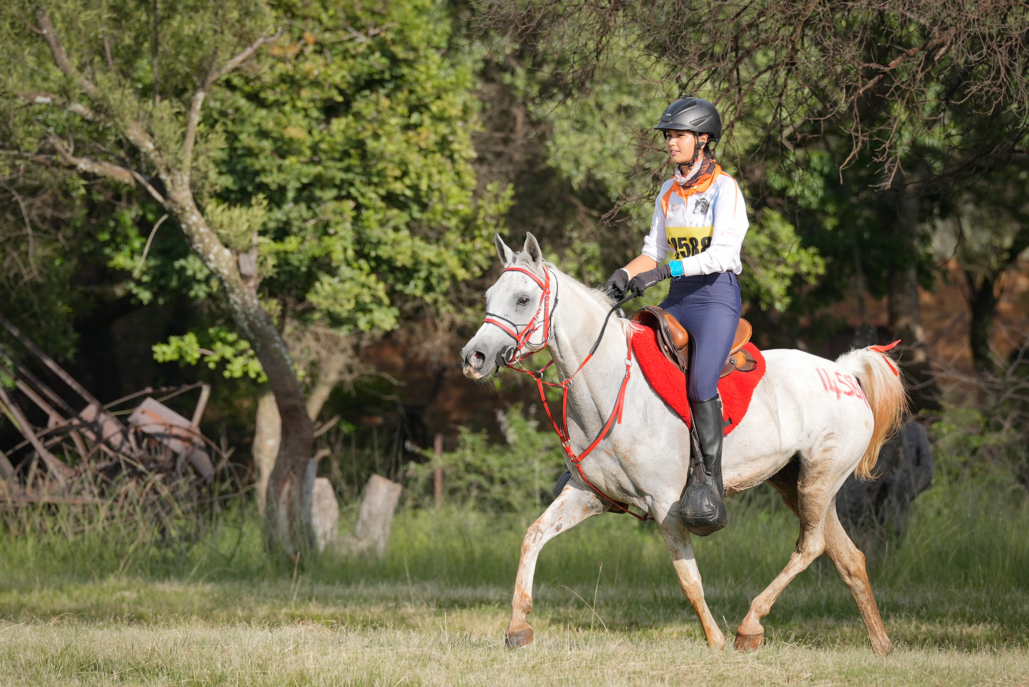 Sports image of an endurance rider and her arabian steed
