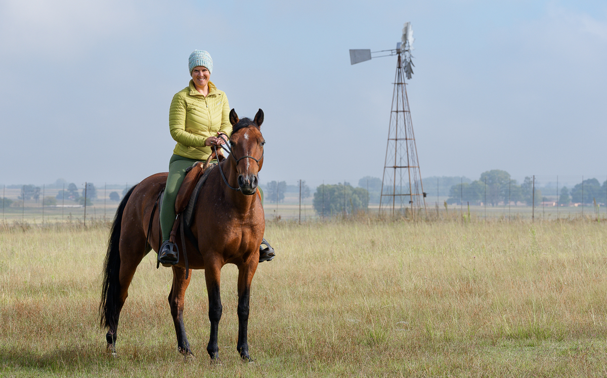 An image of a leisure rider on her sturdy boerperd with windmill in background