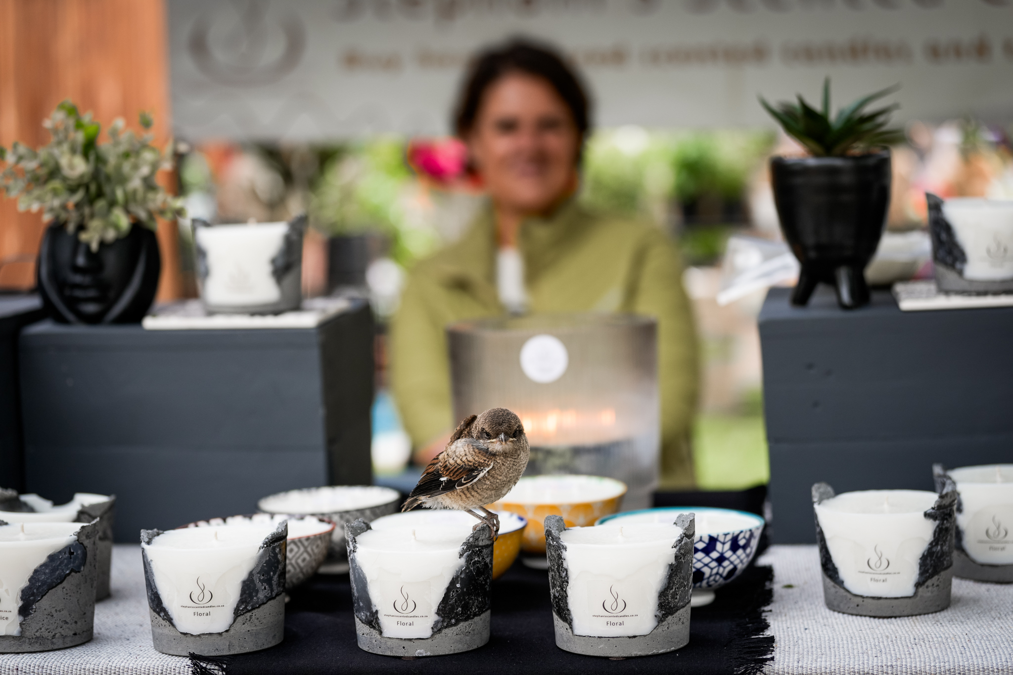 Image of a bird on a vendor's table at a market in Pretoria