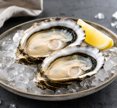 Medium Oysters