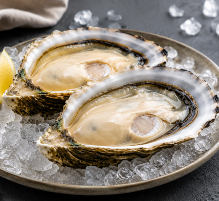 Large Oysters