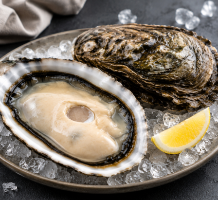 XL Oysters