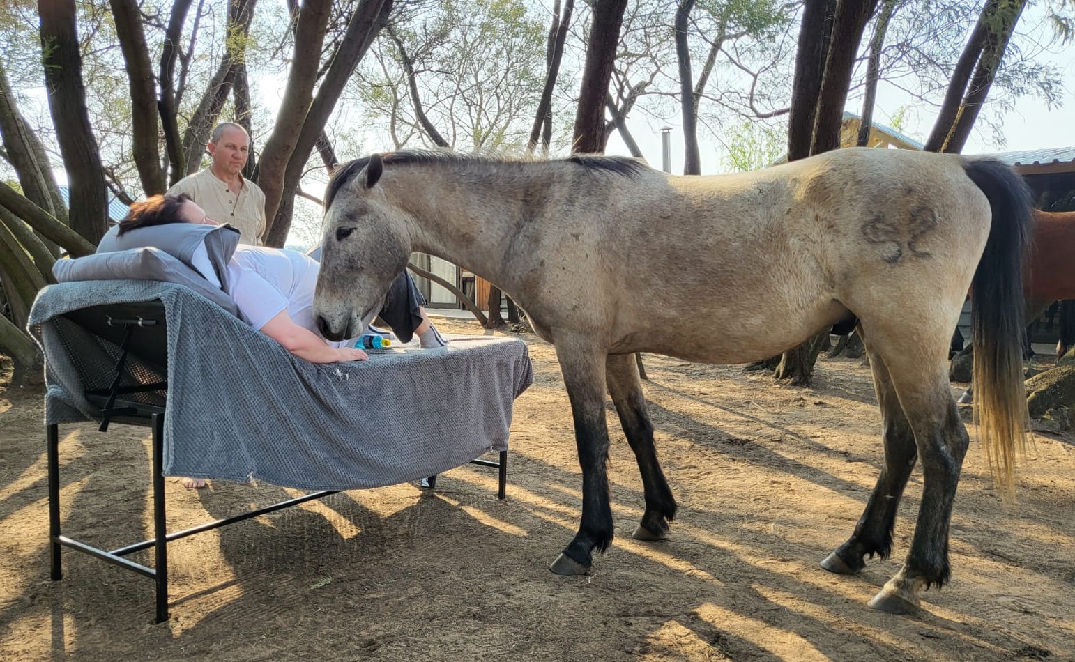 Theus and Moon the wolf help facilitate a Horse Energy Experience near Bronkhorstspruit