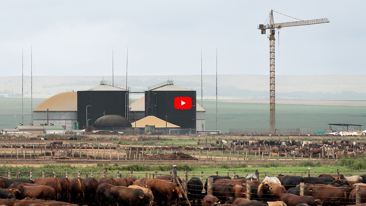 Corporate Investor Site Visit Video