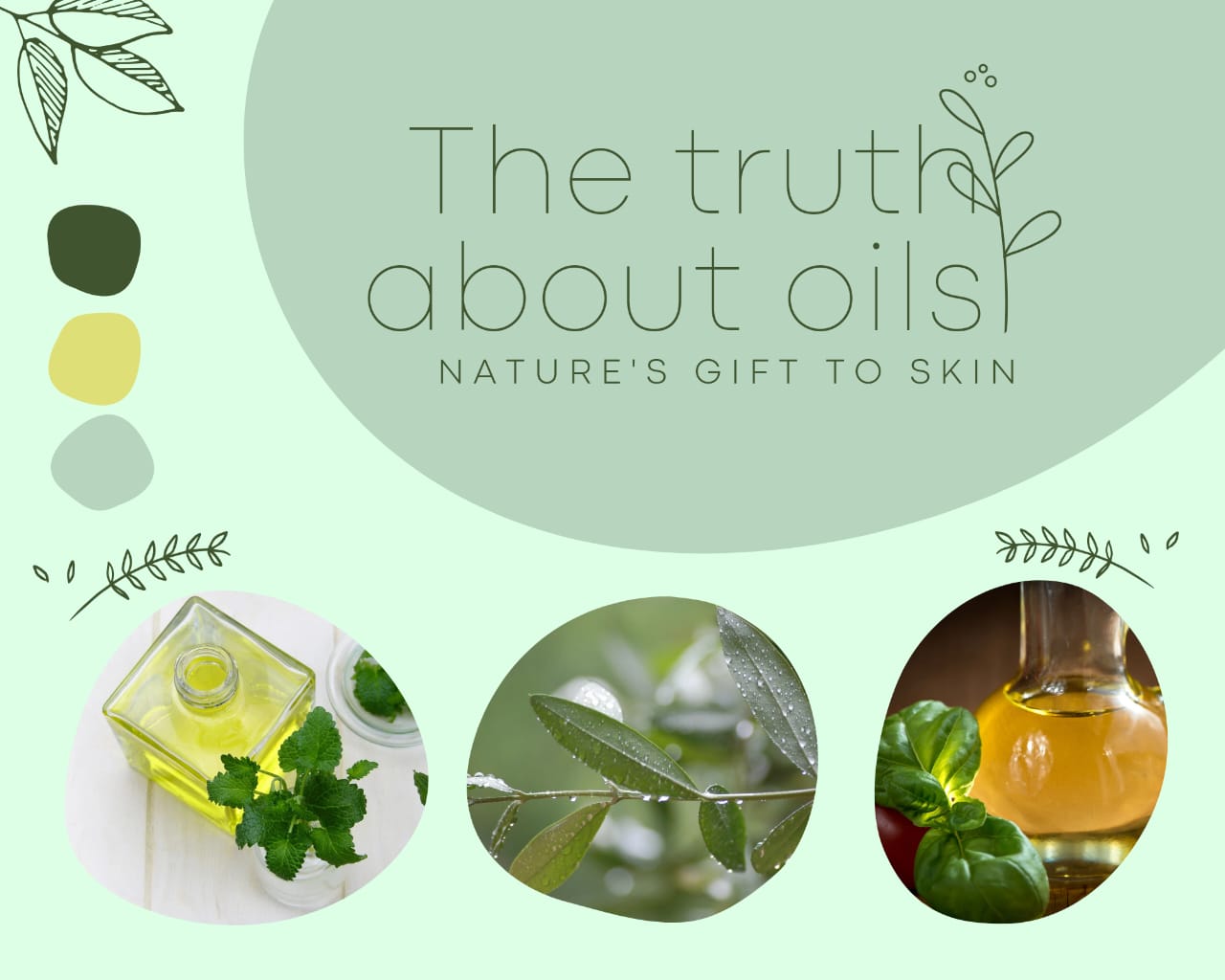 Oil: The Ancient Elixir for Healthy Skin