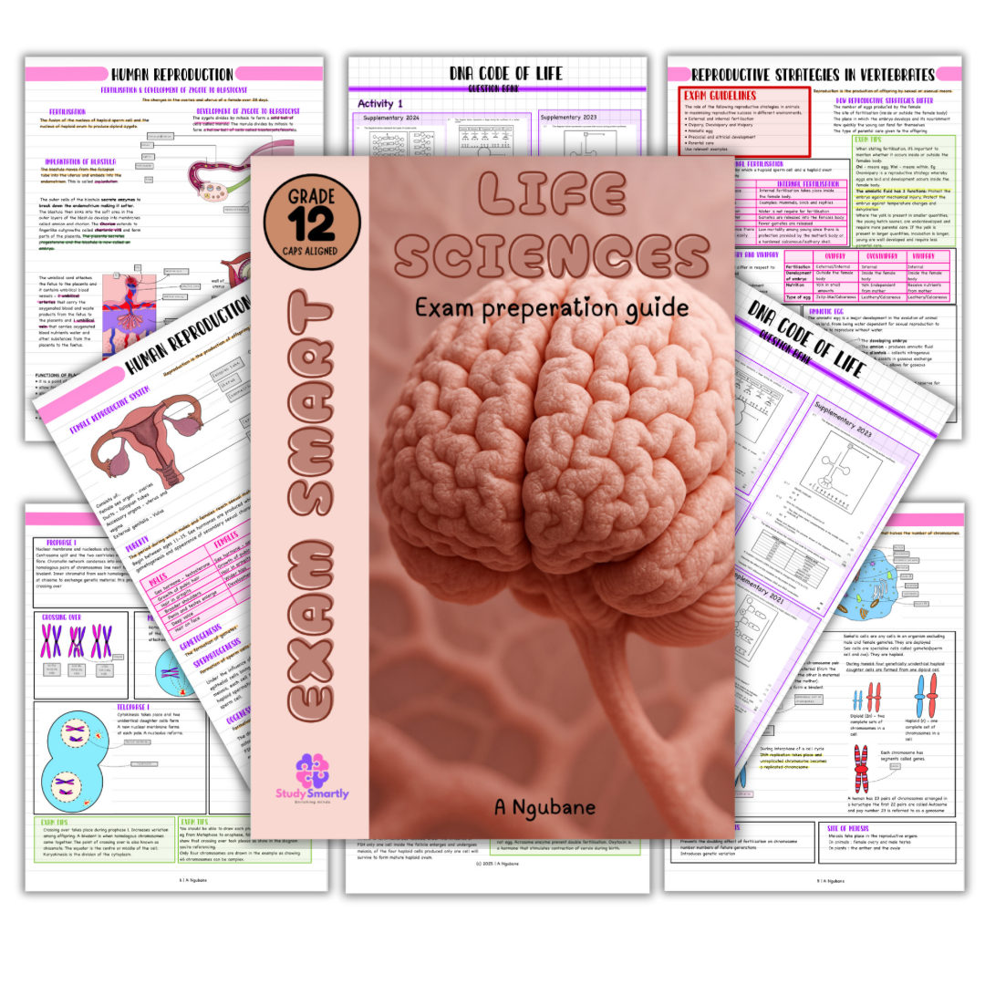 The Importance of On-Time Preparation for Exams