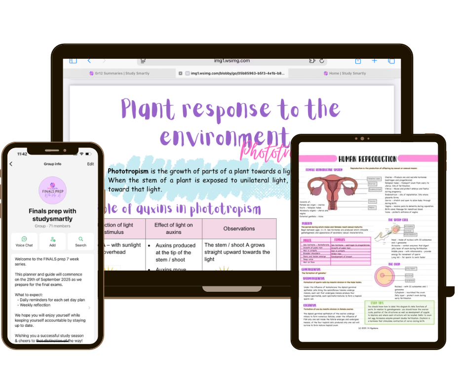 Top 7 Study Tips to Help You Study Smartly and Succeed