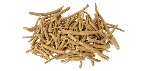 Ashwagandha: The Ancient Adaptogen for Stress, Energy & Balance