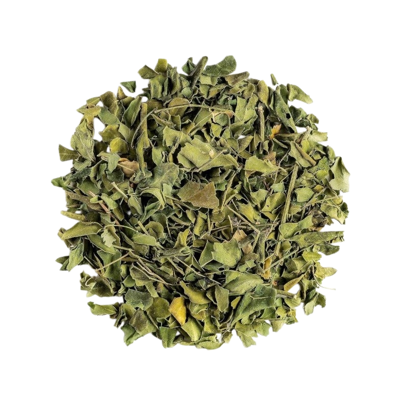 Moringa: The Nutrient-Dense Superleaf for Energy, Immunity & Wellness