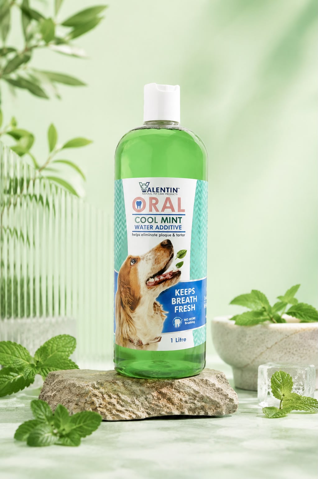 5 Natural Wellness Habits Every Dog Owner Should Know 