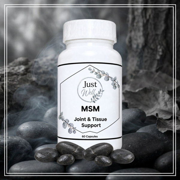 MSM (60 Caps)