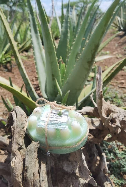 Aloe Vera Soap Massage Duo