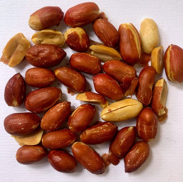 Peanuts (Giant Redskin) - Plain Roasted