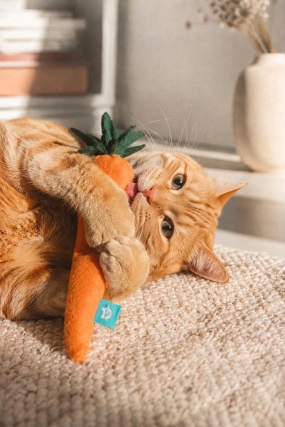 Feline Flair Catnip kicker toy - Carrot