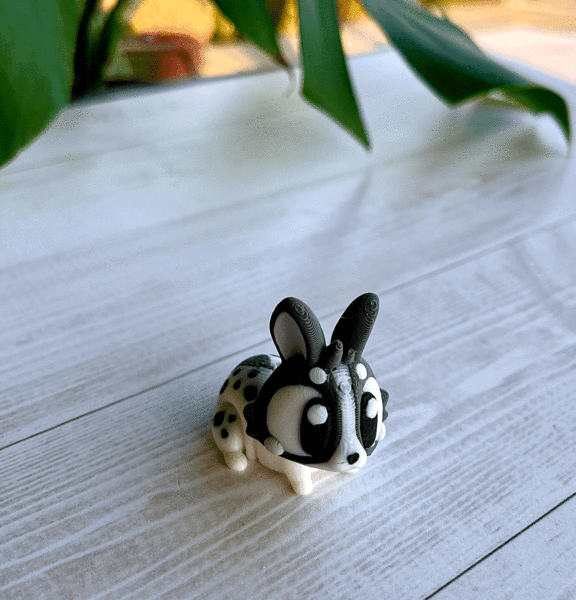 Bunny