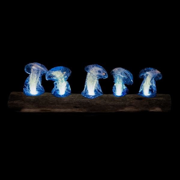 Mycoremediation XIX - Light sculpture
