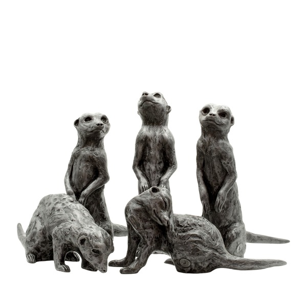 Clan of 5 Meerkats
