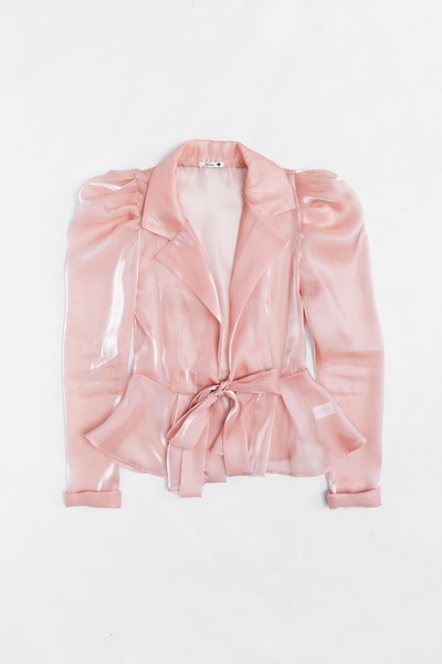 Sheer Puff Shoulder Blouse