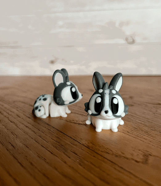 Bunny