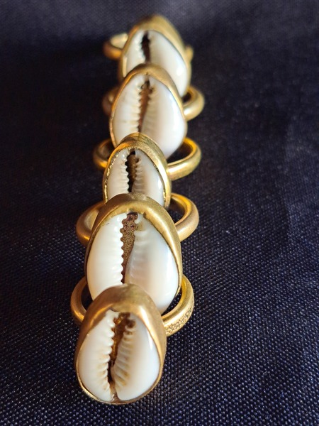 Cowrie shell in brass