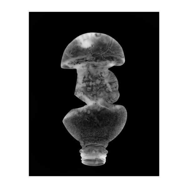 Mycoremediation ix