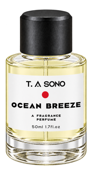 Ocean Breeze | Inspired by  Giorgio Armani Aqua Di Gio Men