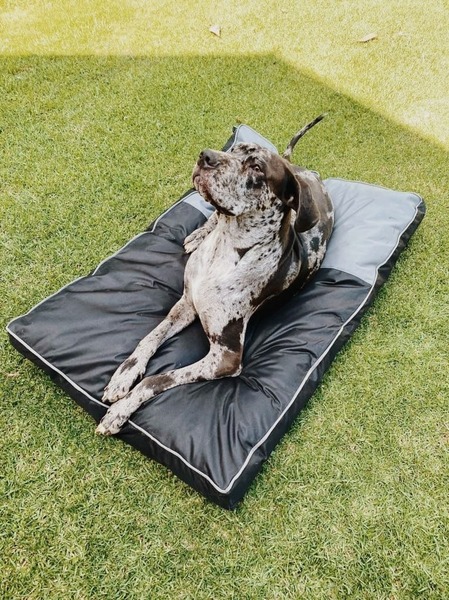 Wagit two-tone mattress black & grey