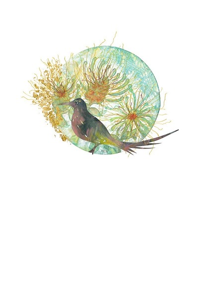 Sugarbird in Fynbos — Fine Art Print