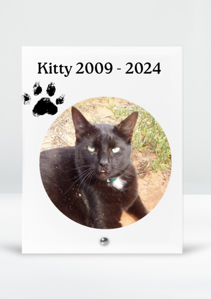 Forever Memory Tile