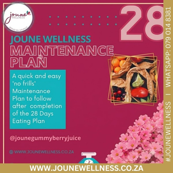 Maintenance Plan