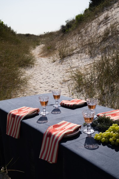 The Lobster Stripe Napkin