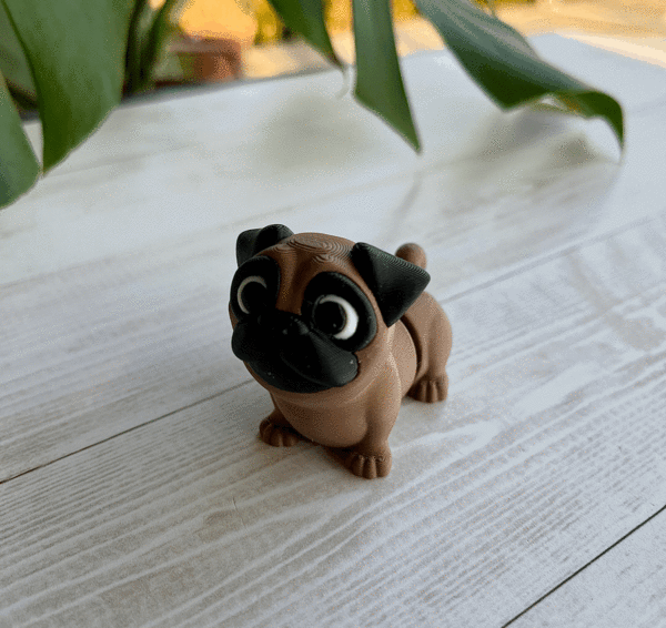 Pug