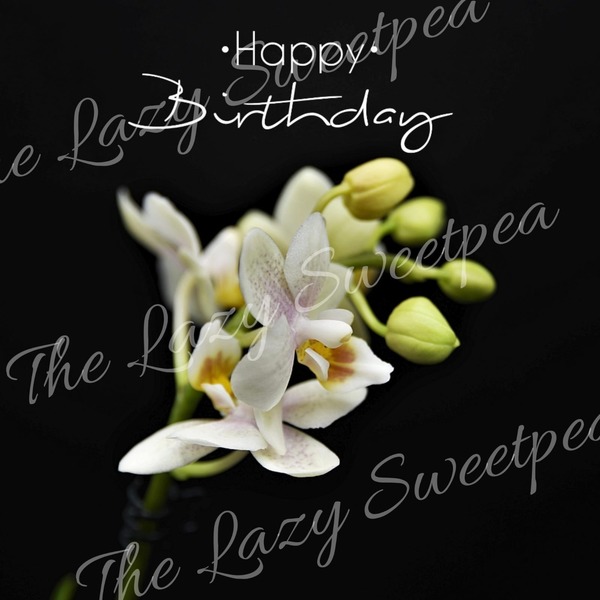 Made by us Birthday card - Black with Orchid