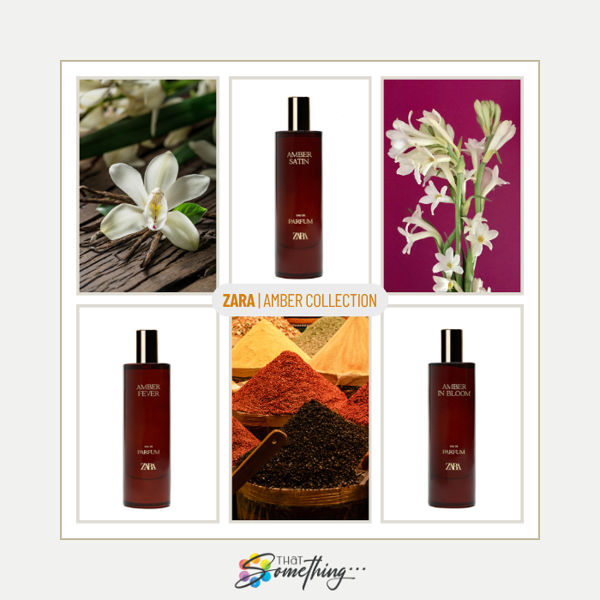 Zara | Amber Collection | Sample Set
