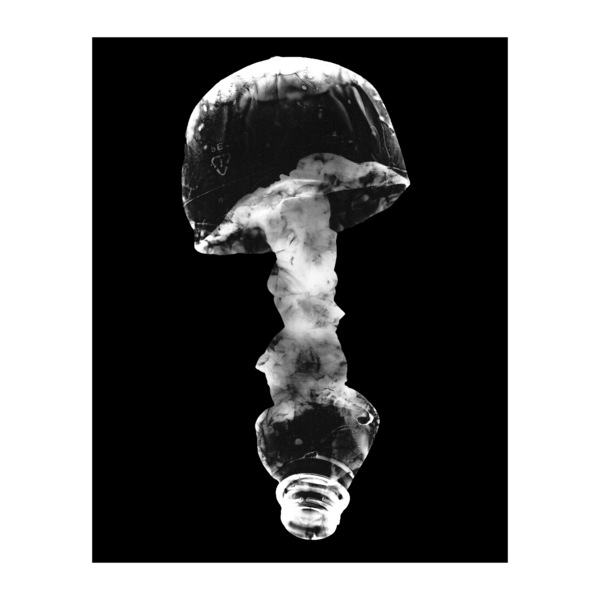 Mycoremediation viii
